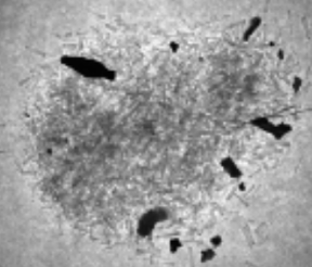 截圖 2025-11-06 上午11.14.03.png